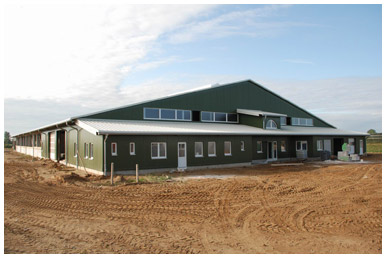 steenwijk dairy