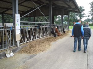 Strohbereich mit Hinweistafeln für die Besucher