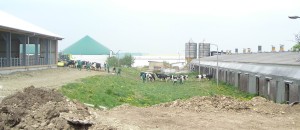 DSCN0630 Ausschnitt 2
