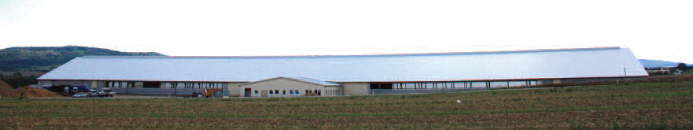 Unbenannt-1